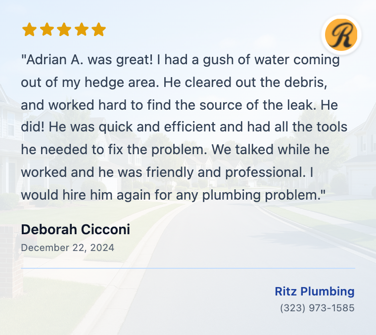 744350340-review-deborah-cicconi-chzdsu
