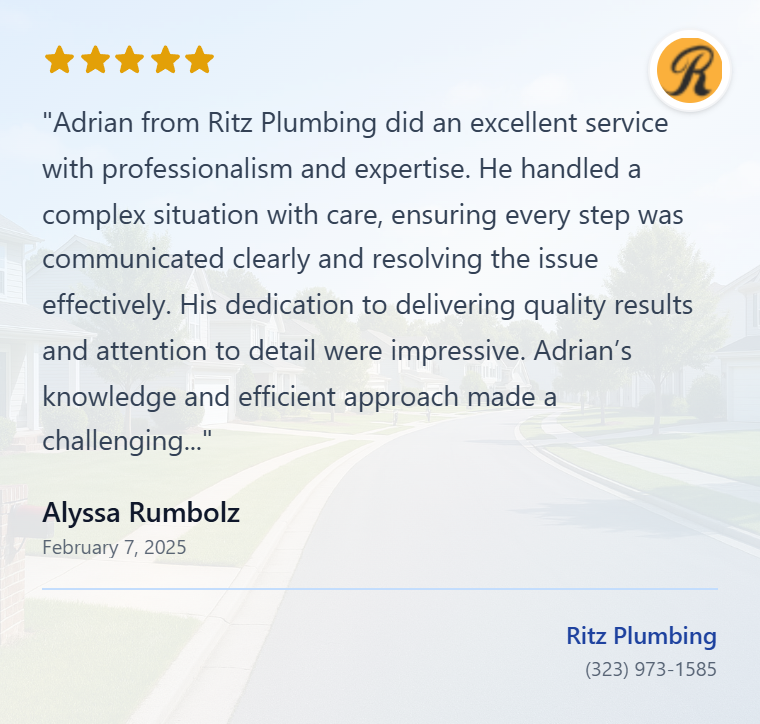 review-Alyssa Rumbolz-ChdDSU