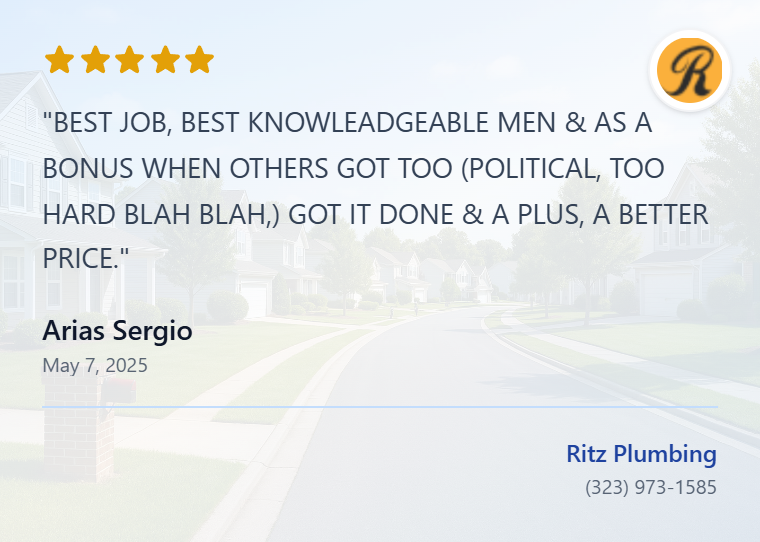 review-Arias Sergio-ChdDSU