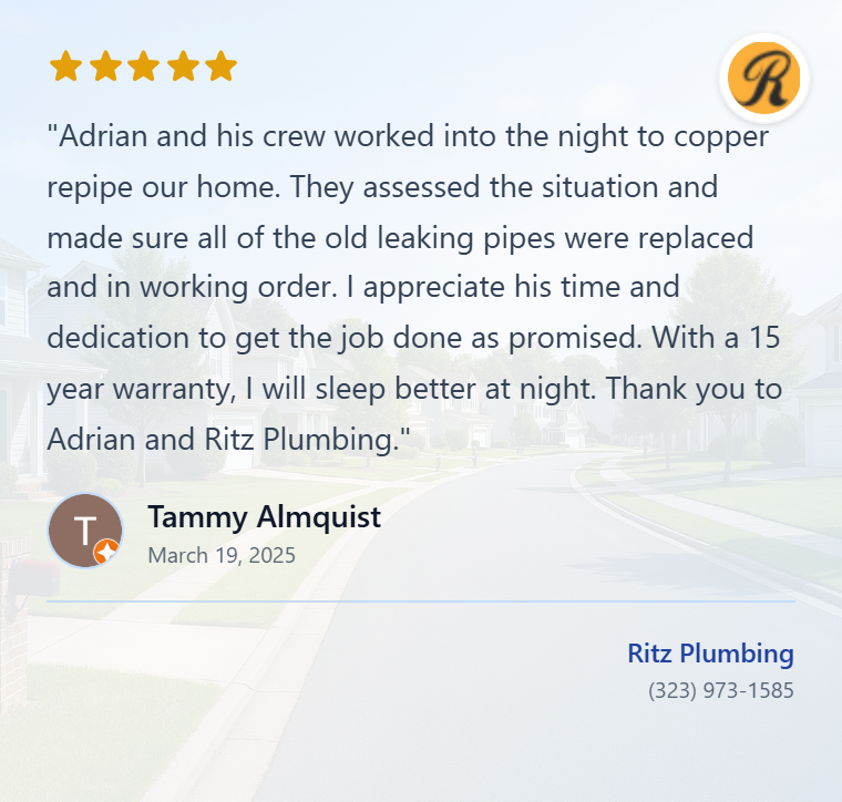 review-Tammy Almquist-ChdDSU