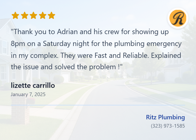 review-lizette carrillo-ChdDSU